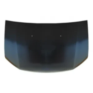 capot dacia sandero 2021 stepway